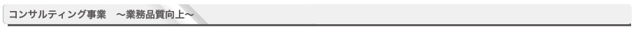 コンサルティング事業